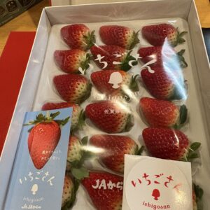 季節のフルーツ　3000円